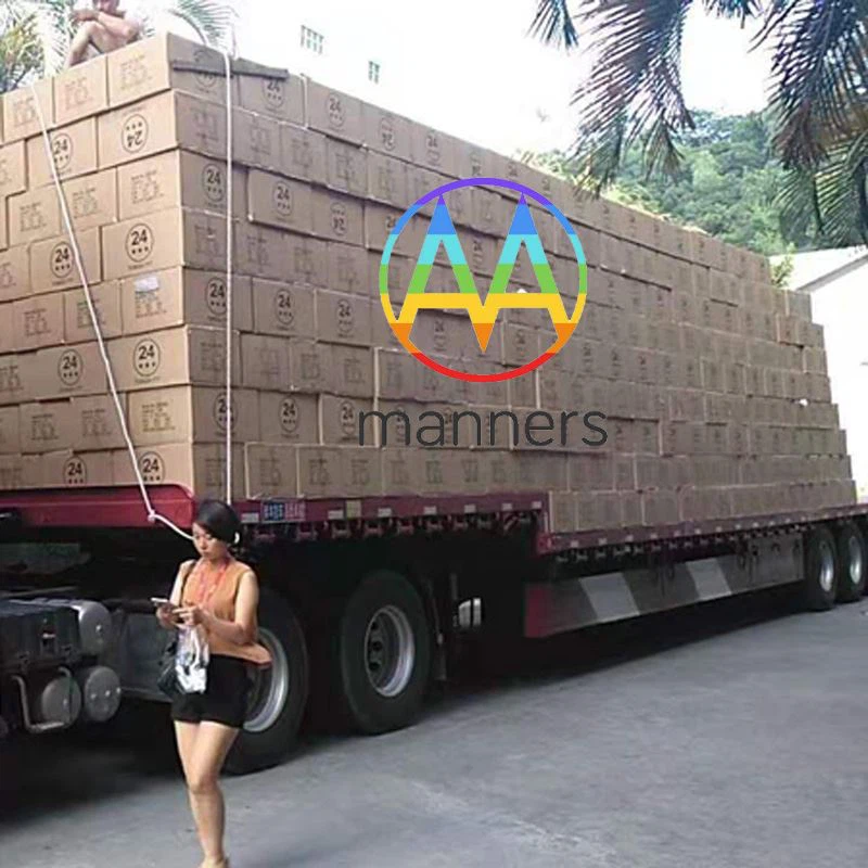 Pesanan Pelanggan Republik Ceko Untuk 30.000pcs Custom Chiba Biopsi Jarum Tel...